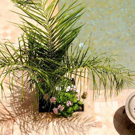 Riad Les Hibiscus Marrakesh Exterior photo