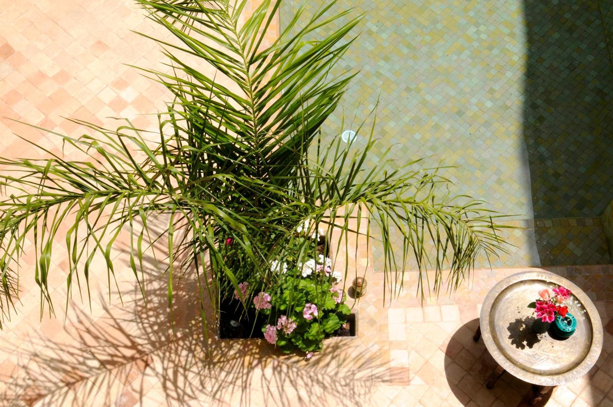 Riad Les Hibiscus Marrakesh Exterior photo
